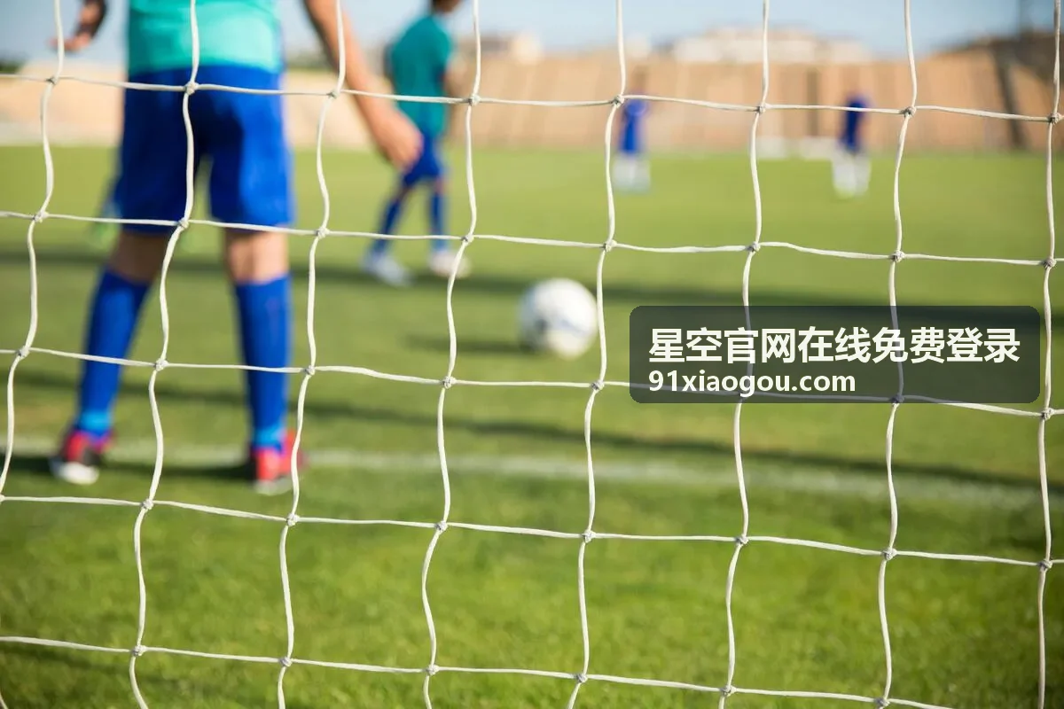 星空活动嘉宾程颂分享商业化策略主题