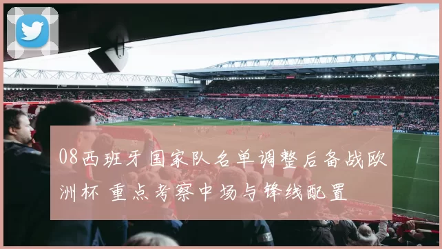 08西班牙国家队名单调整后备战欧洲杯 重点考察中场与锋线配置