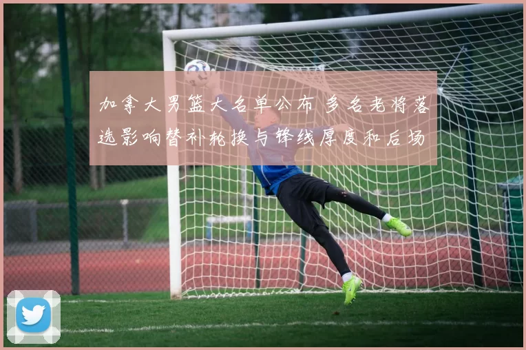 加拿大男篮大名单公布 多名老将落选影响替补轮换与锋线厚度和后场稳定性