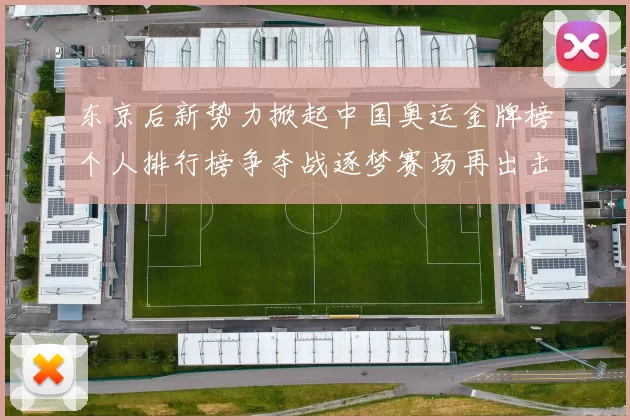 东京后新势力掀起中国奥运金牌榜个人排行榜争夺战逐梦赛场再出击