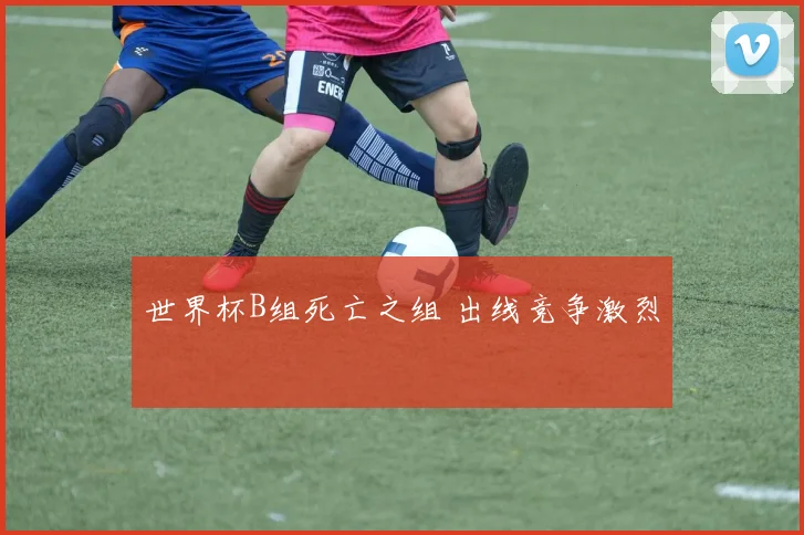 世界杯B组死亡之组 出线竞争激烈