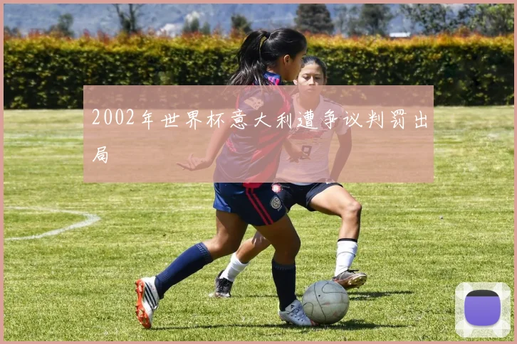 2002年世界杯意大利遭争议判罚出局