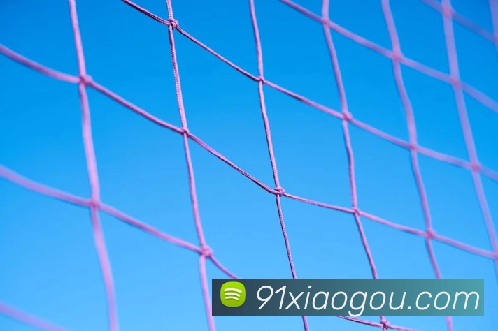 九游j9官方服务体系